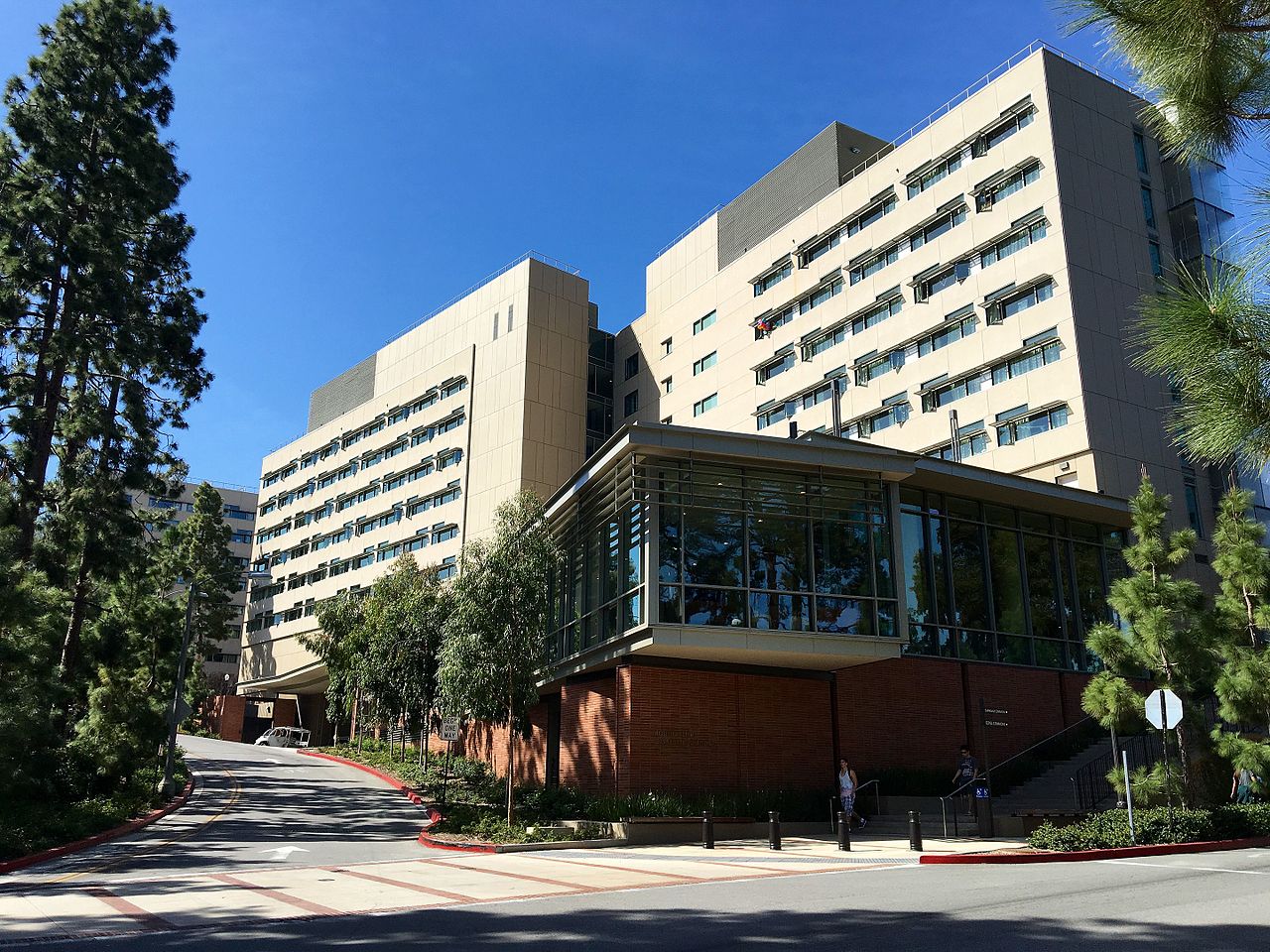 加利福尼亞大學洛杉磯分校
